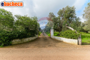 appartamento in vendita a Ceglie Messapica