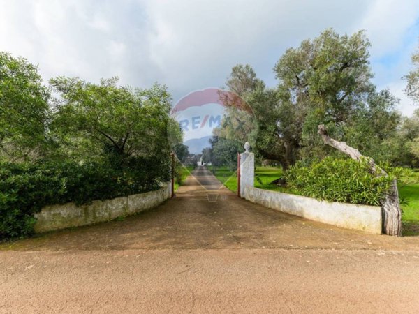 casa indipendente in vendita a Ceglie Messapica