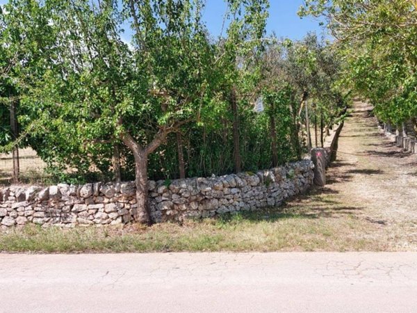 terreno agricolo in vendita a Ceglie Messapica