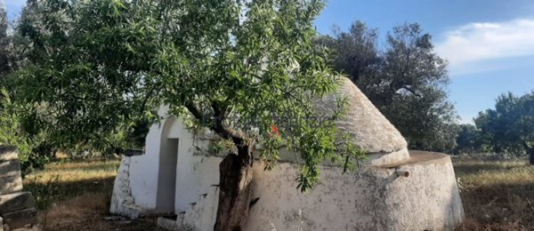negozio in vendita a Ceglie Messapica