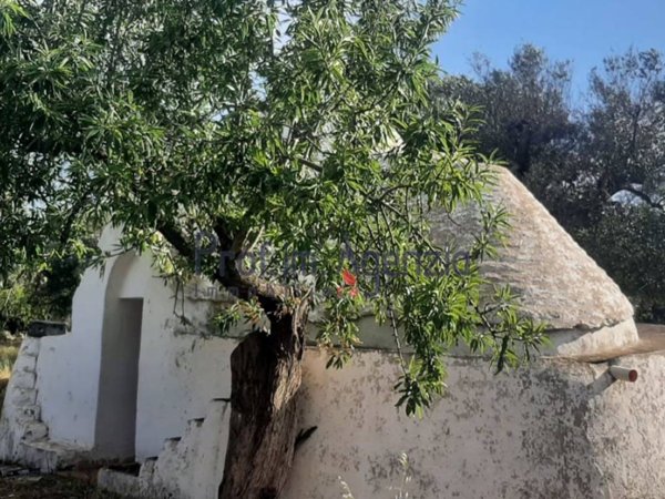 casa indipendente in vendita a Ceglie Messapica