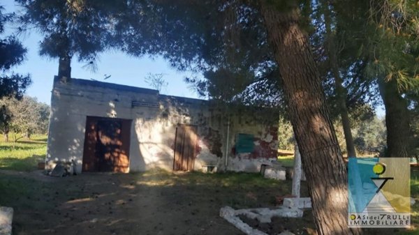 appartamento in vendita a Ceglie Messapica