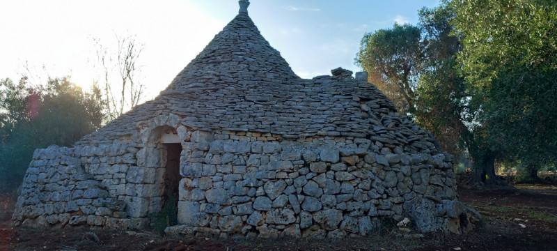 casale in vendita a Ceglie Messapica