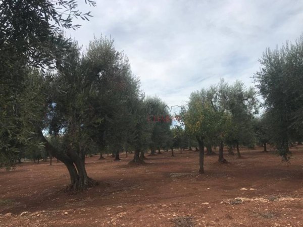 casa indipendente in vendita a Ceglie Messapica