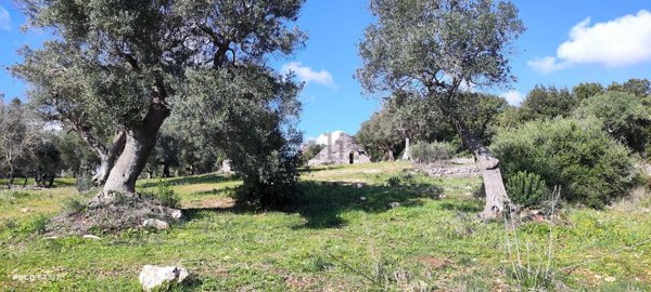 appartamento in vendita a Ceglie Messapica