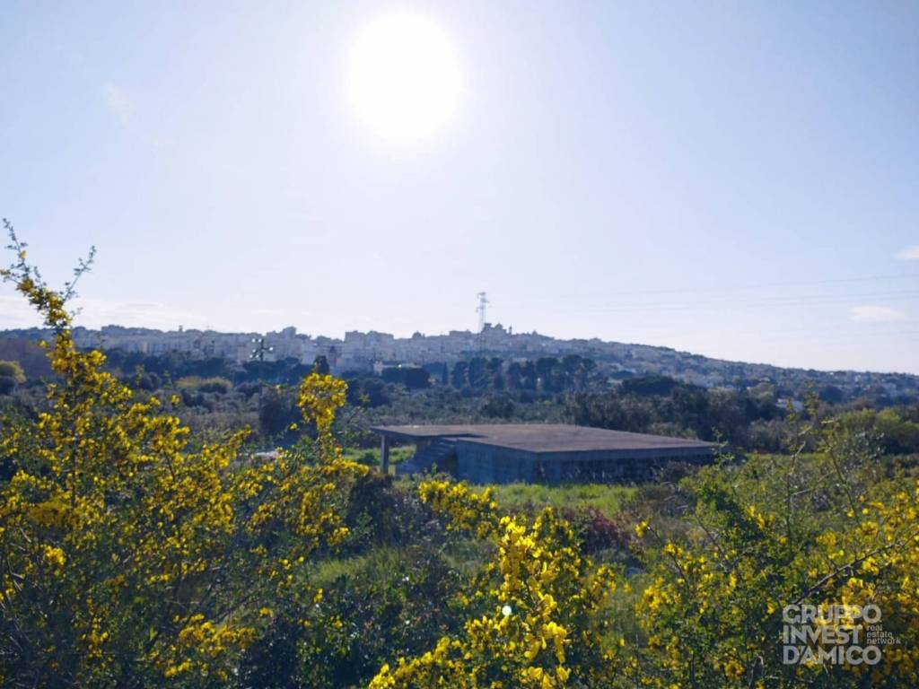 terreno agricolo in vendita a Ceglie Messapica