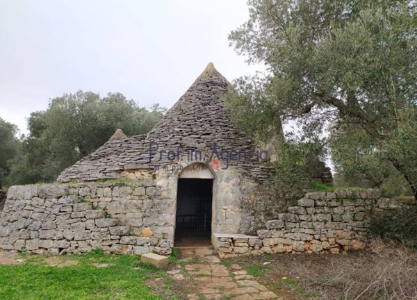 casa indipendente in vendita a Ceglie Messapica
