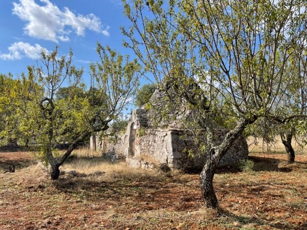 appartamento in vendita a Ceglie Messapica