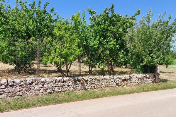 terreno agricolo in vendita a Ceglie Messapica