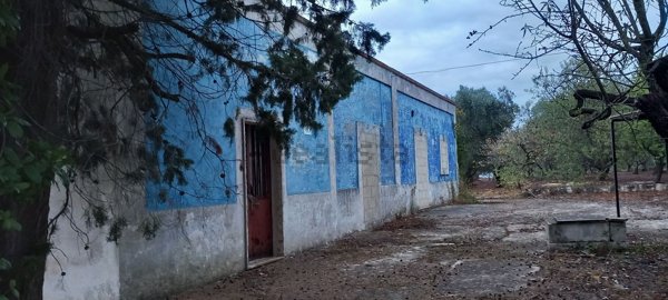 casa indipendente in vendita a Ceglie Messapica