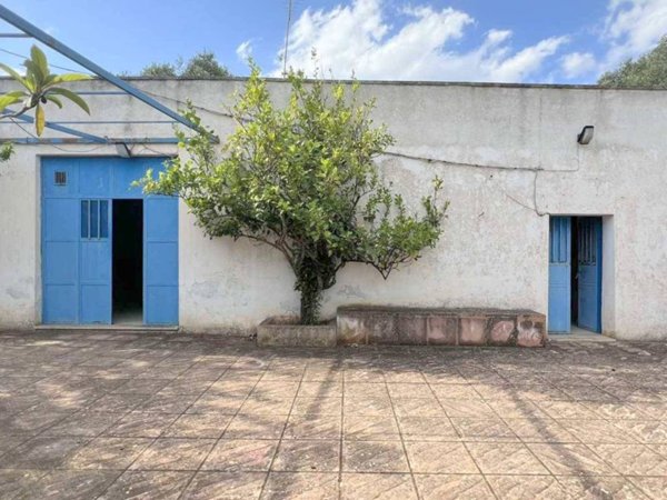 casa indipendente in vendita a Ceglie Messapica