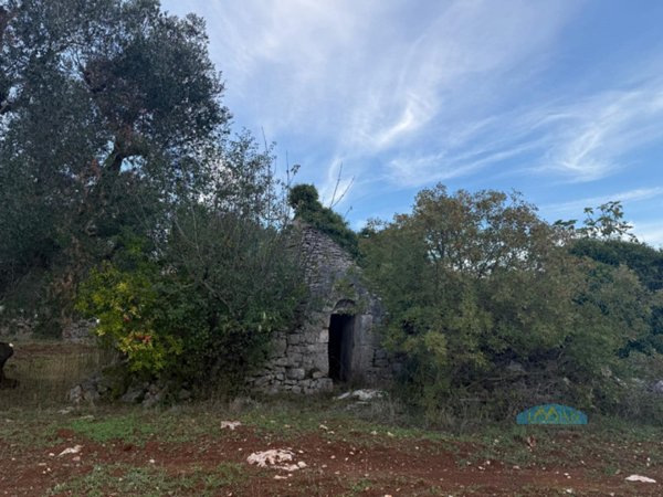 casa indipendente in vendita a Ceglie Messapica