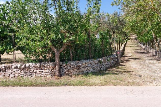 terreno agricolo in vendita a Ceglie Messapica