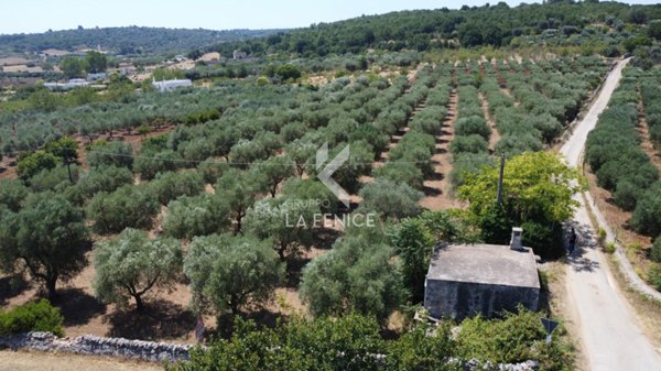 casale in vendita a Ceglie Messapica