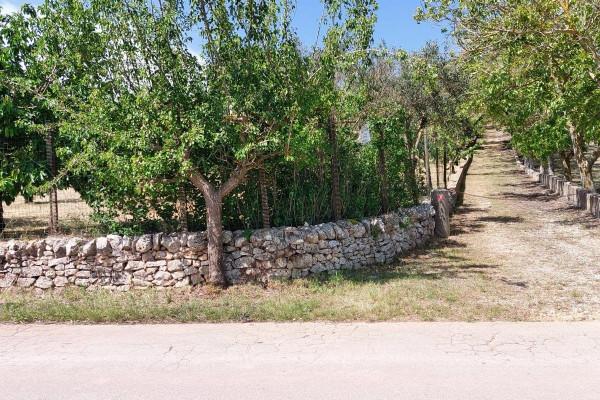 terreno agricolo in vendita a Ceglie Messapica