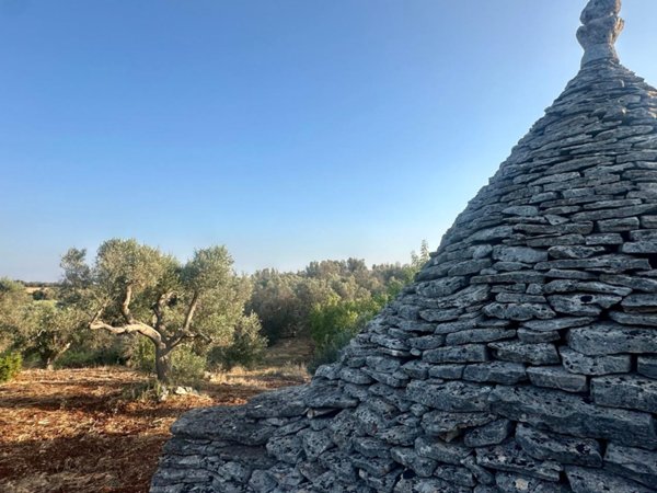 terreno agricolo in vendita a Ceglie Messapica