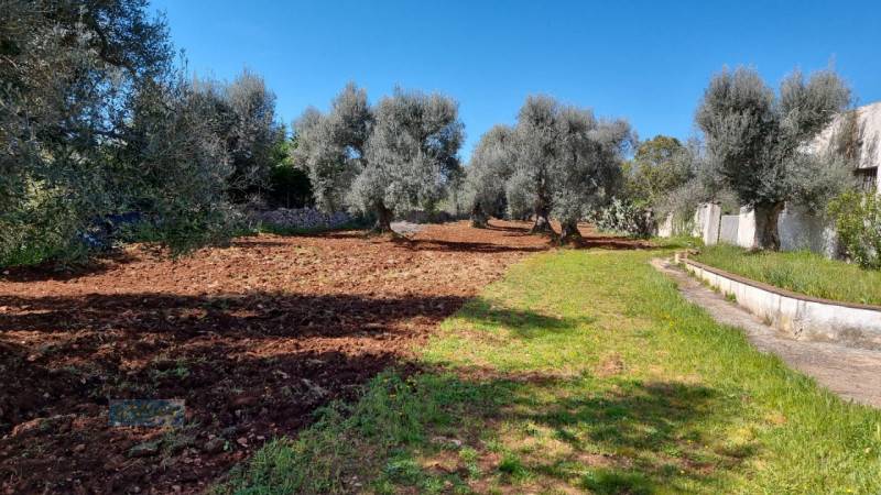 casale in vendita a Ceglie Messapica