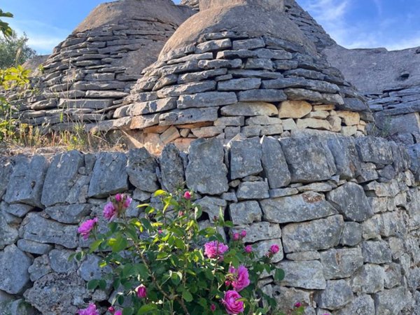 casa indipendente in vendita a Ceglie Messapica