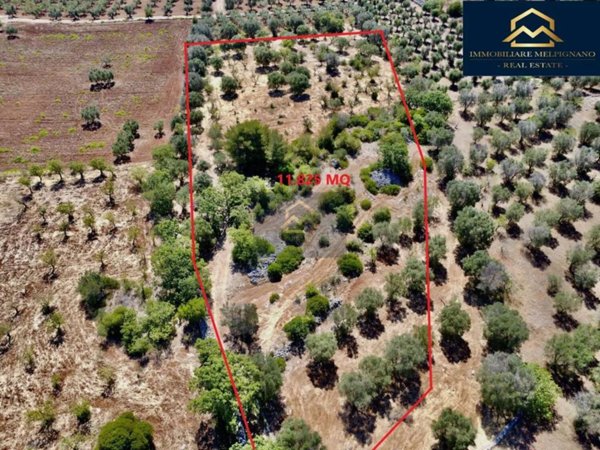 terreno agricolo in vendita a Ceglie Messapica