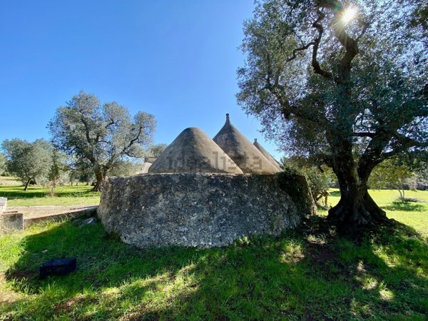 appartamento in vendita a Ceglie Messapica