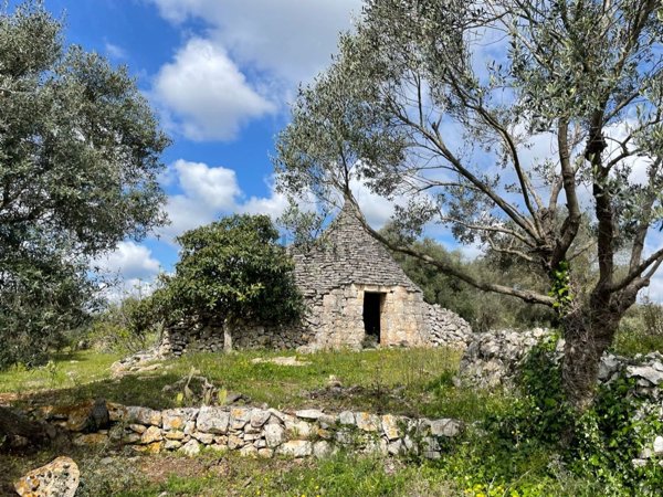 appartamento in vendita a Ceglie Messapica