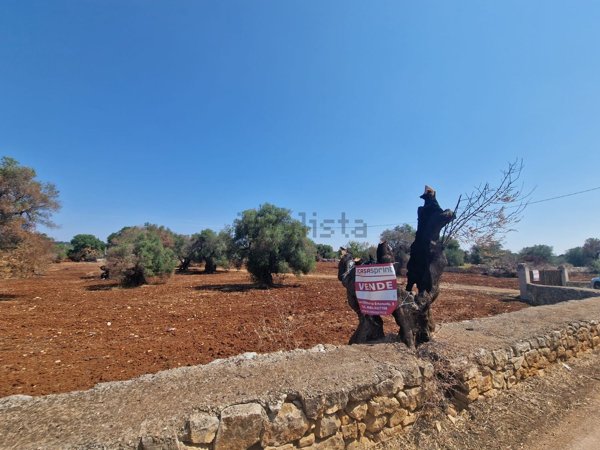 quadrivano in vendita a Ceglie Messapica
