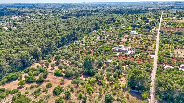 pentavano in vendita a Ceglie Messapica