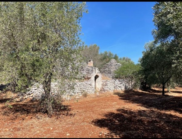 quadrivano in vendita a Ceglie Messapica
