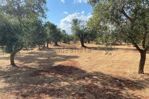 terreno edificabile in vendita a Ceglie Messapica