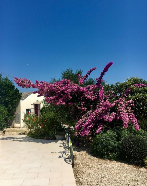 casale in vendita a Ceglie Messapica