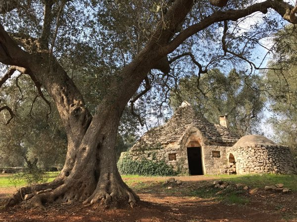 appartamento in vendita a Ceglie Messapica