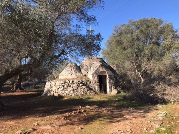 appartamento in vendita a Ceglie Messapica