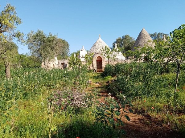 appartamento in vendita a Ceglie Messapica