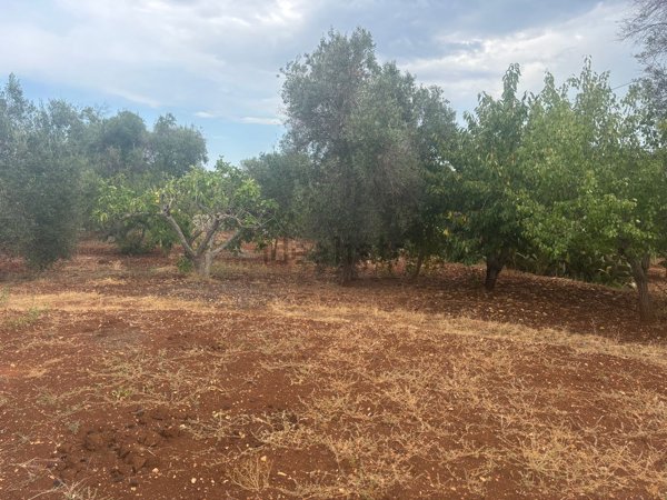 appartamento in vendita a Ceglie Messapica