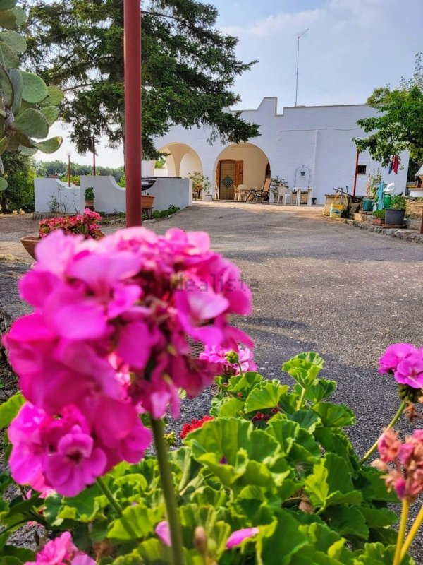 casa indipendente in vendita a Ceglie Messapica