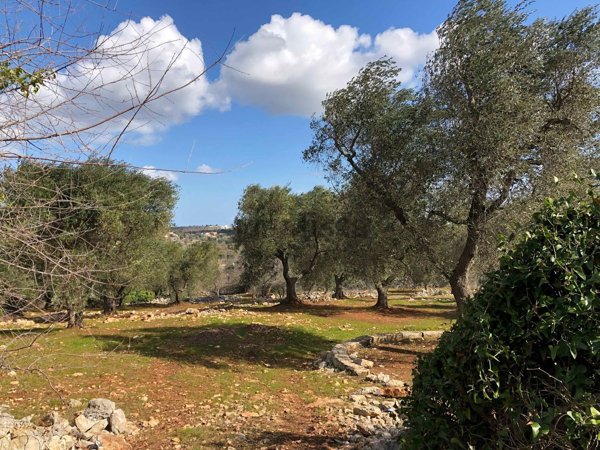 casa indipendente in vendita a Ceglie Messapica