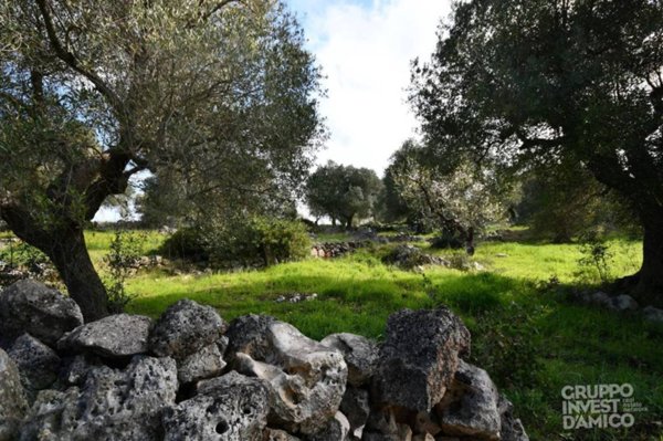 terreno agricolo in vendita a Ceglie Messapica