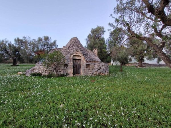 casa indipendente in vendita a Ceglie Messapica