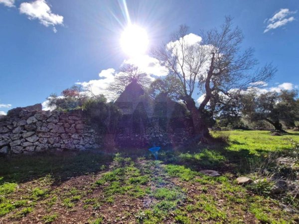 casa indipendente in vendita a Ceglie Messapica