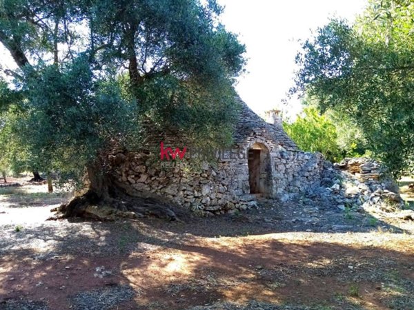 terreno agricolo in vendita a Ceglie Messapica