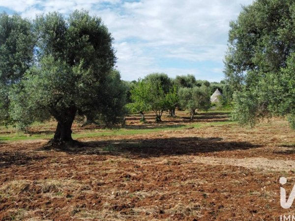 casa indipendente in vendita a Ceglie Messapica