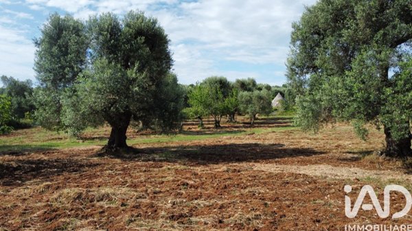 casa indipendente in vendita a Ceglie Messapica