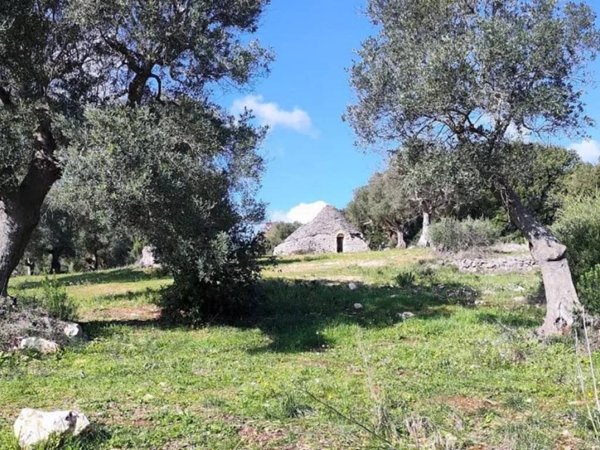 casa indipendente in vendita a Ceglie Messapica