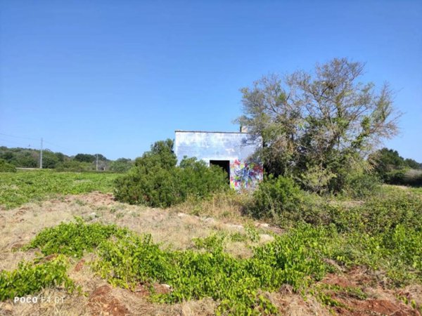 casa indipendente in vendita a Ceglie Messapica