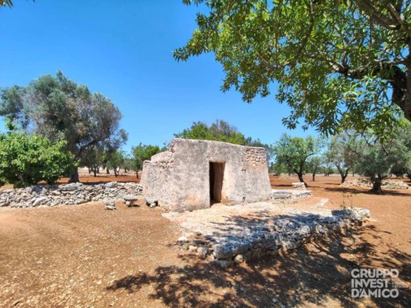 casa indipendente in vendita a Ceglie Messapica