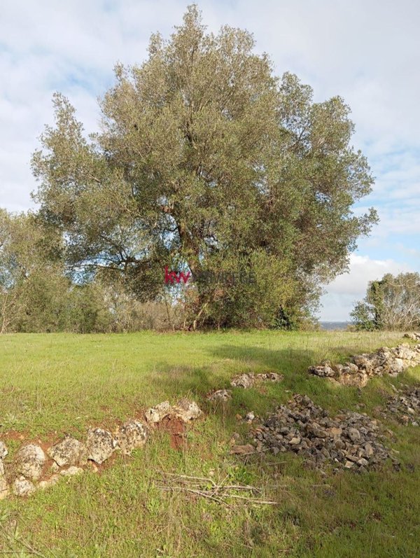 appartamento in vendita a Ceglie Messapica