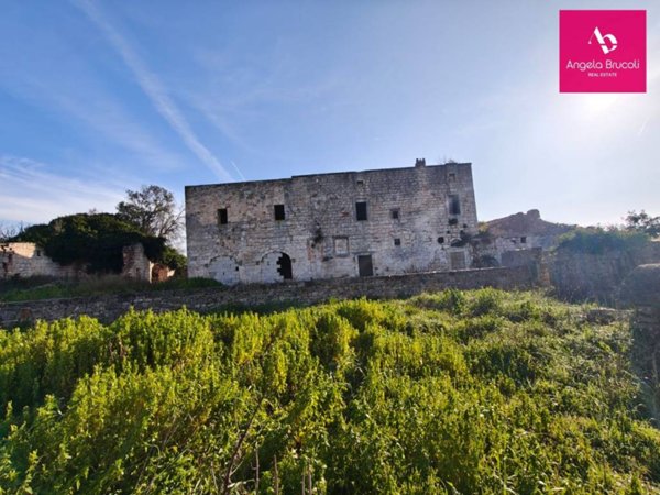 casa indipendente in vendita a Ceglie Messapica