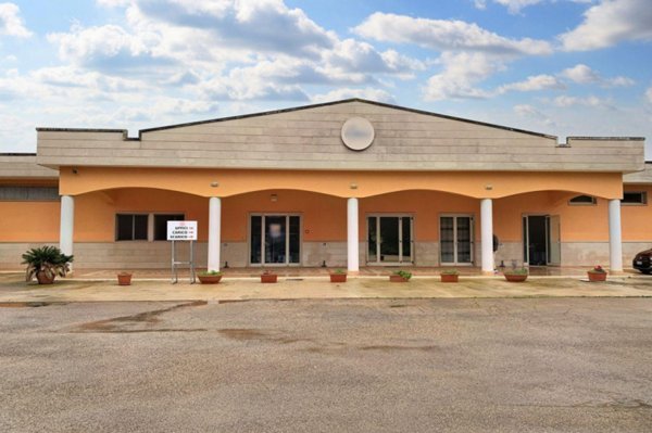 terreno agricolo in vendita a Ceglie Messapica