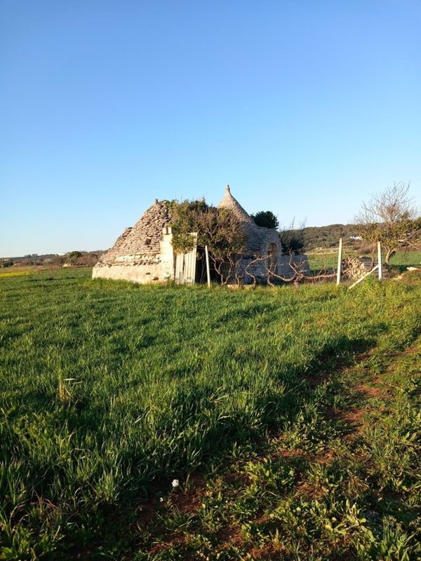 appartamento in vendita a Ceglie Messapica