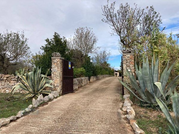 casa indipendente in vendita a Ceglie Messapica